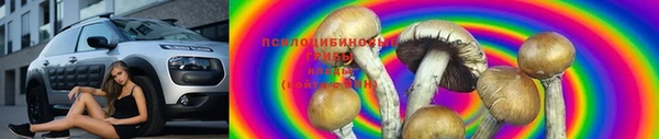 стаф Гусиноозёрск