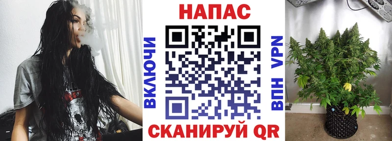 omg рабочий сайт Дигора Шишки марихуана MAZAR где можно купить